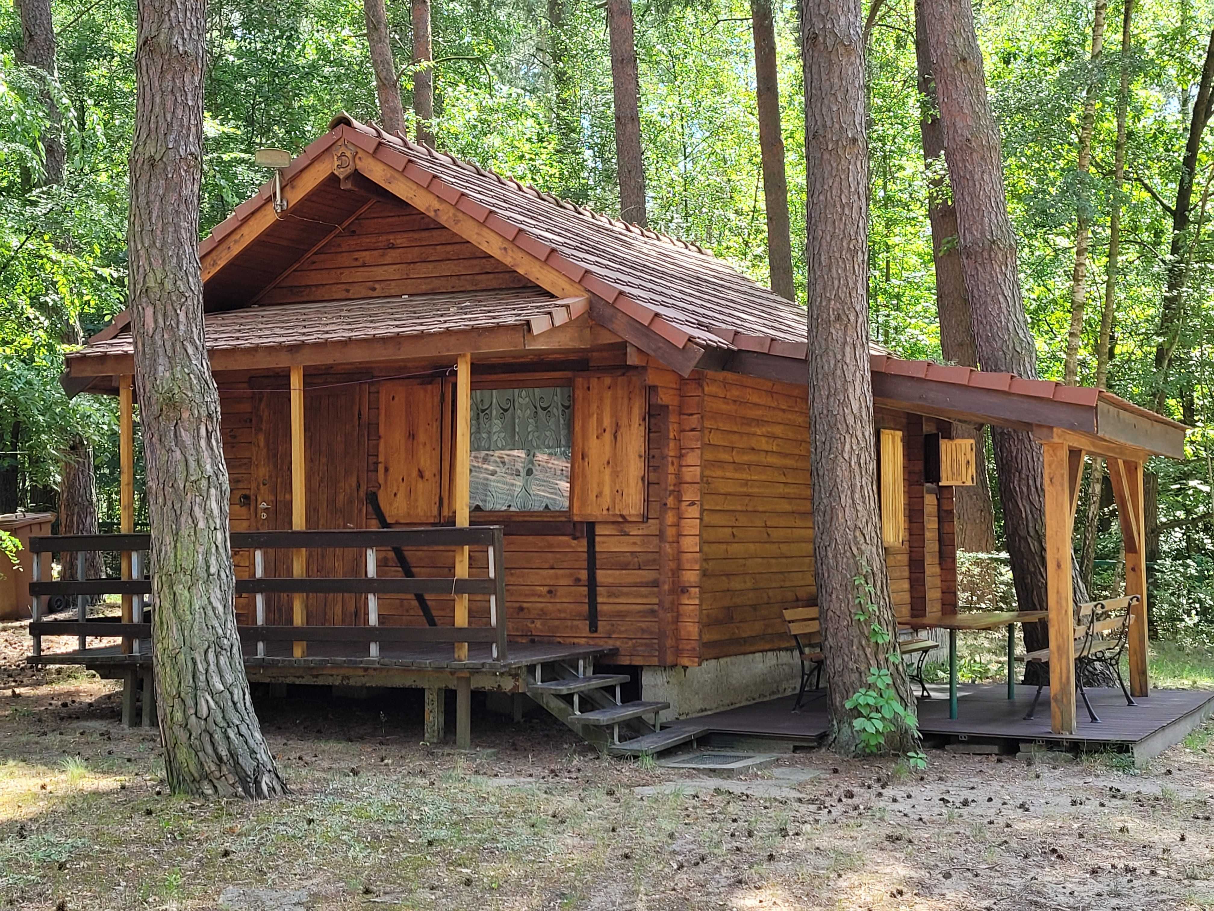 Domek letniskowy nad jeziorem -Trzcianka - wynajem