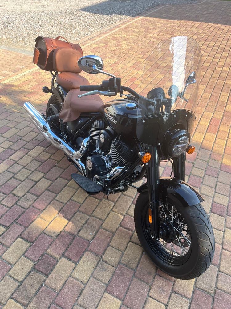 Indian chief dark horse