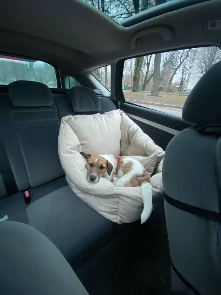Корзина для собак в машину