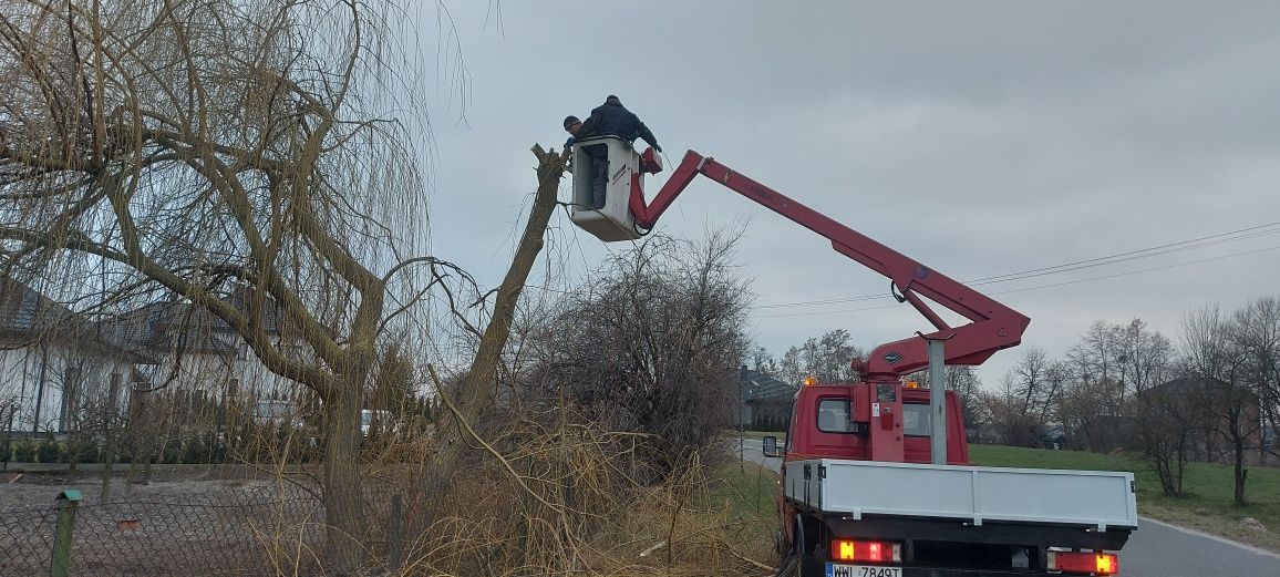 Podnośnik koszowy zwyżka wynajem usługi