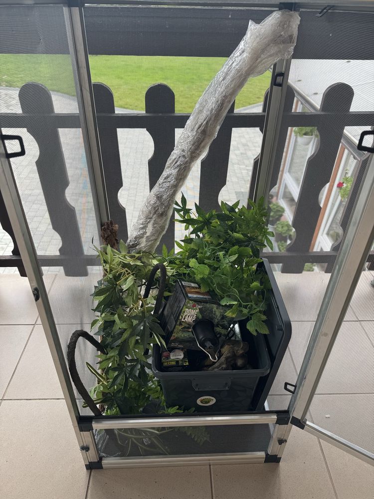 Terrarium siatkowe