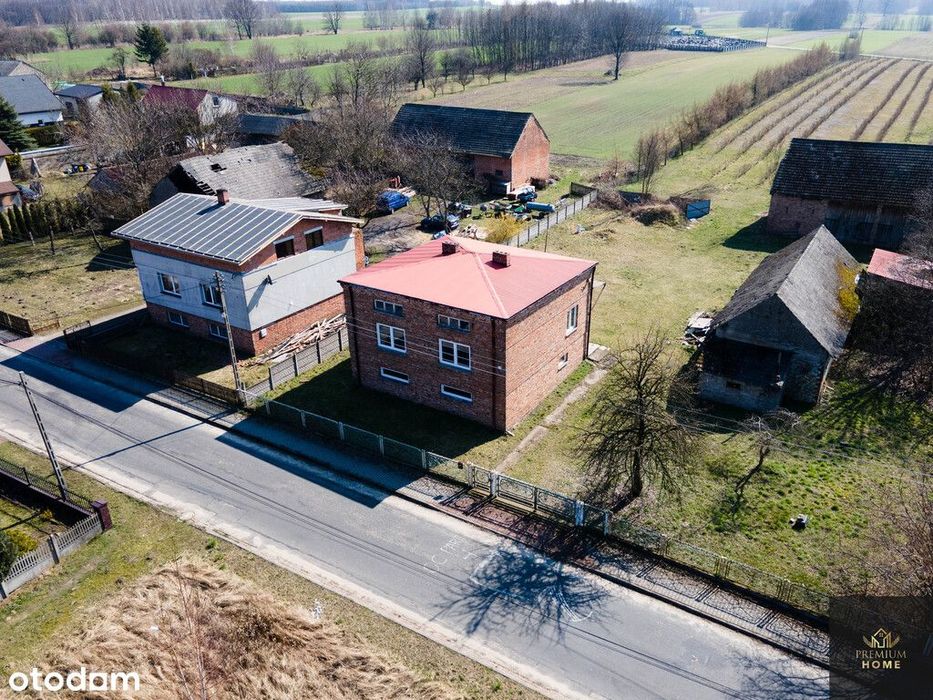 Dom z rozpoczętą modernizacją i plantacją borówek