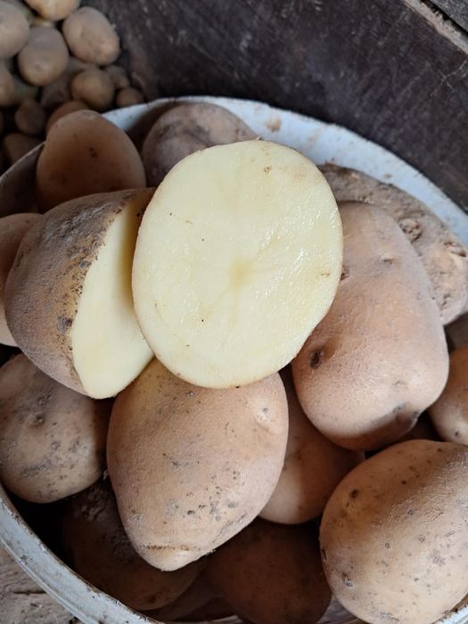 Sprzedam ziemniaki 2zł