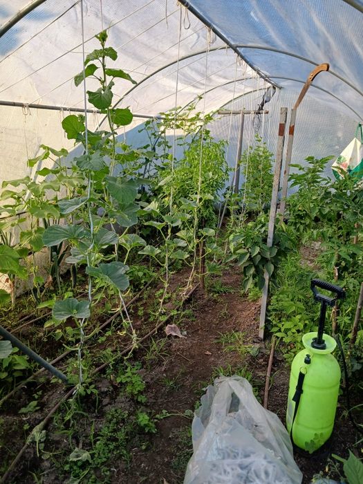 Jardinagem e limpeza florestais