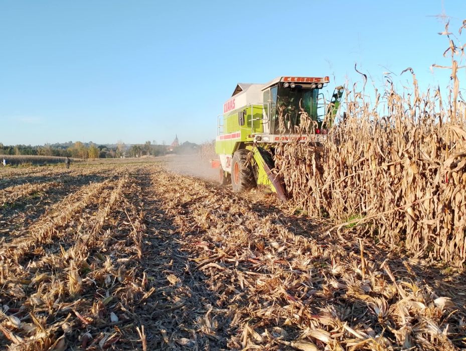 Przystawka do kukurydzy claas 4 docinacz śmigłowy
