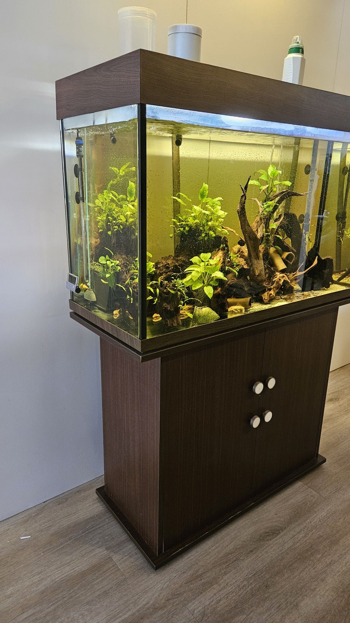 Aquario Aquis One