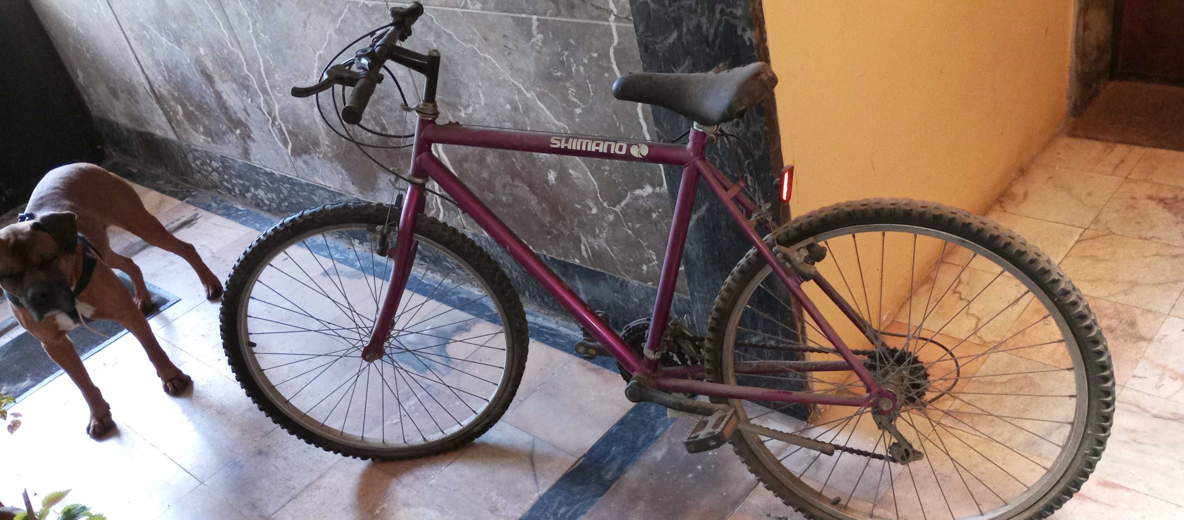 Bicicleta para restauro