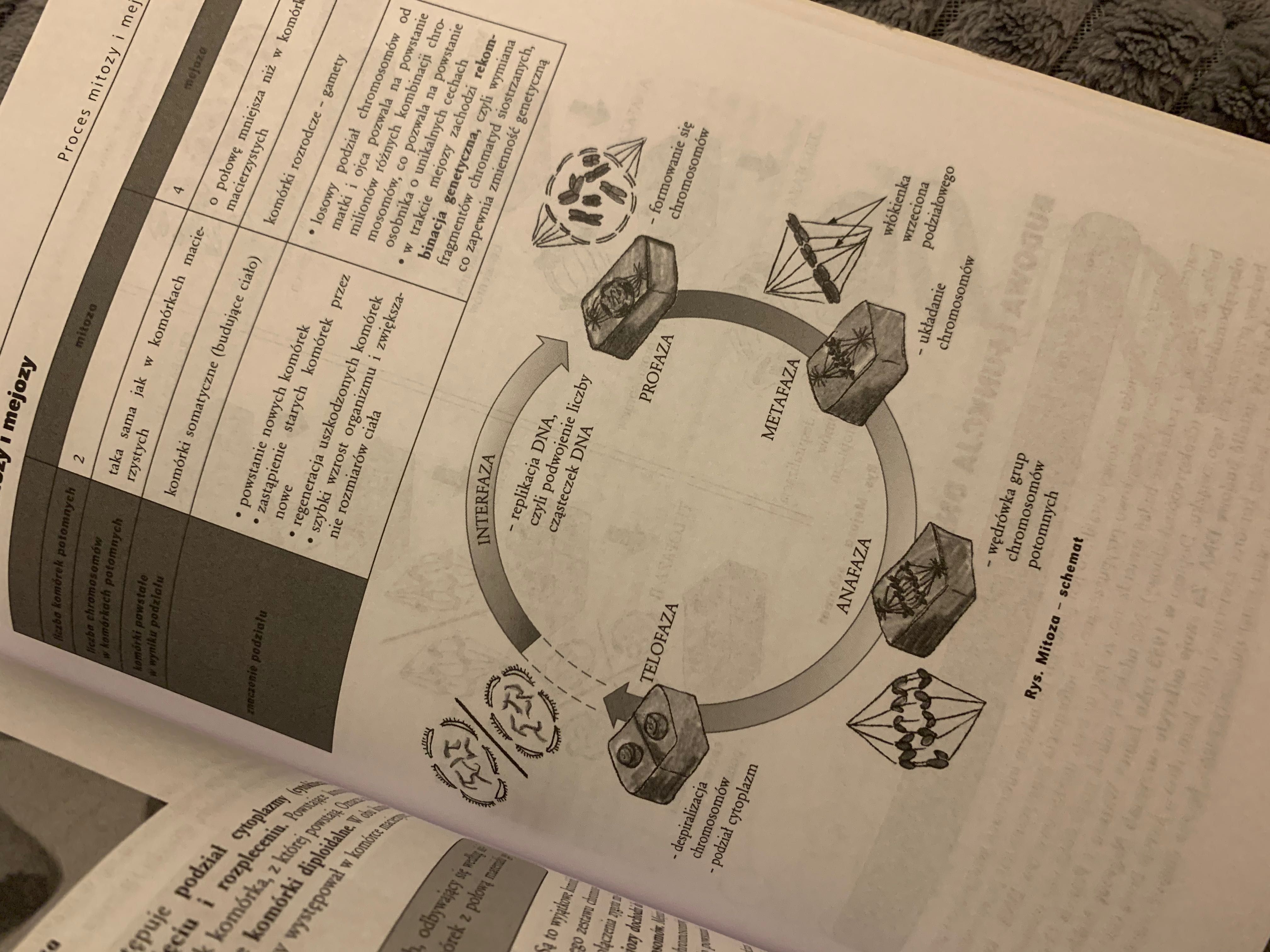 Książka: Repetytorium Gimnazjalisty - biologia. Wydawnictwo: GREG.