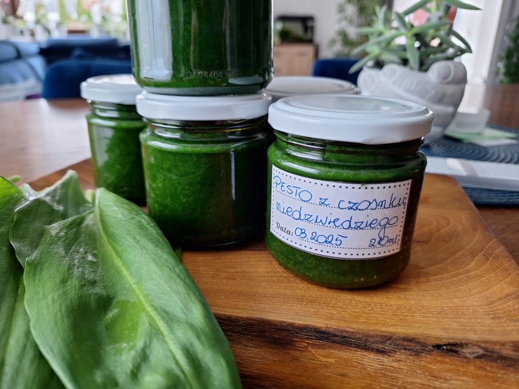 PESTO z czosnku niedźwiedziego