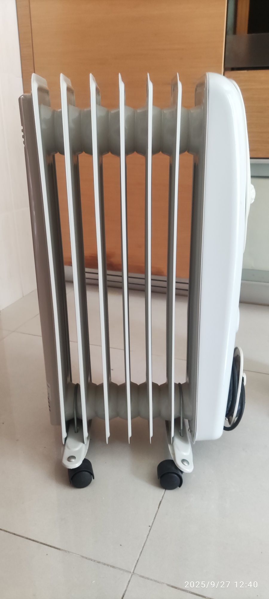 2 radiadores a óleo