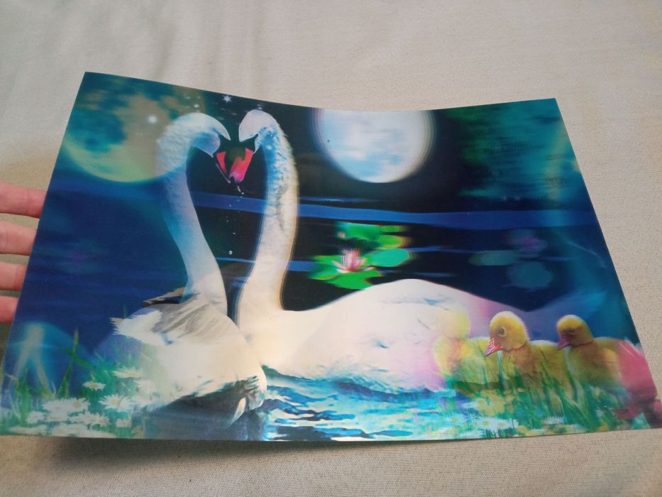 Obrazek 3D - ŁABĘDZIE