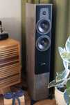 Dynaudio Contour 30i grey oak high gloss