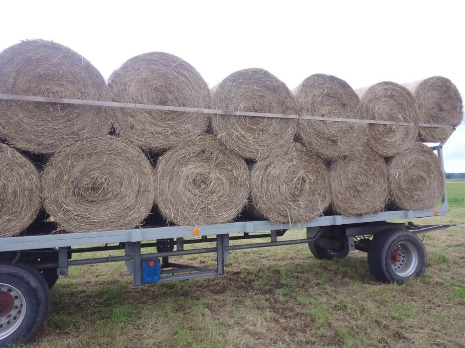 Siano pierwszy pokos dla koni bydła kóz  od rolnika