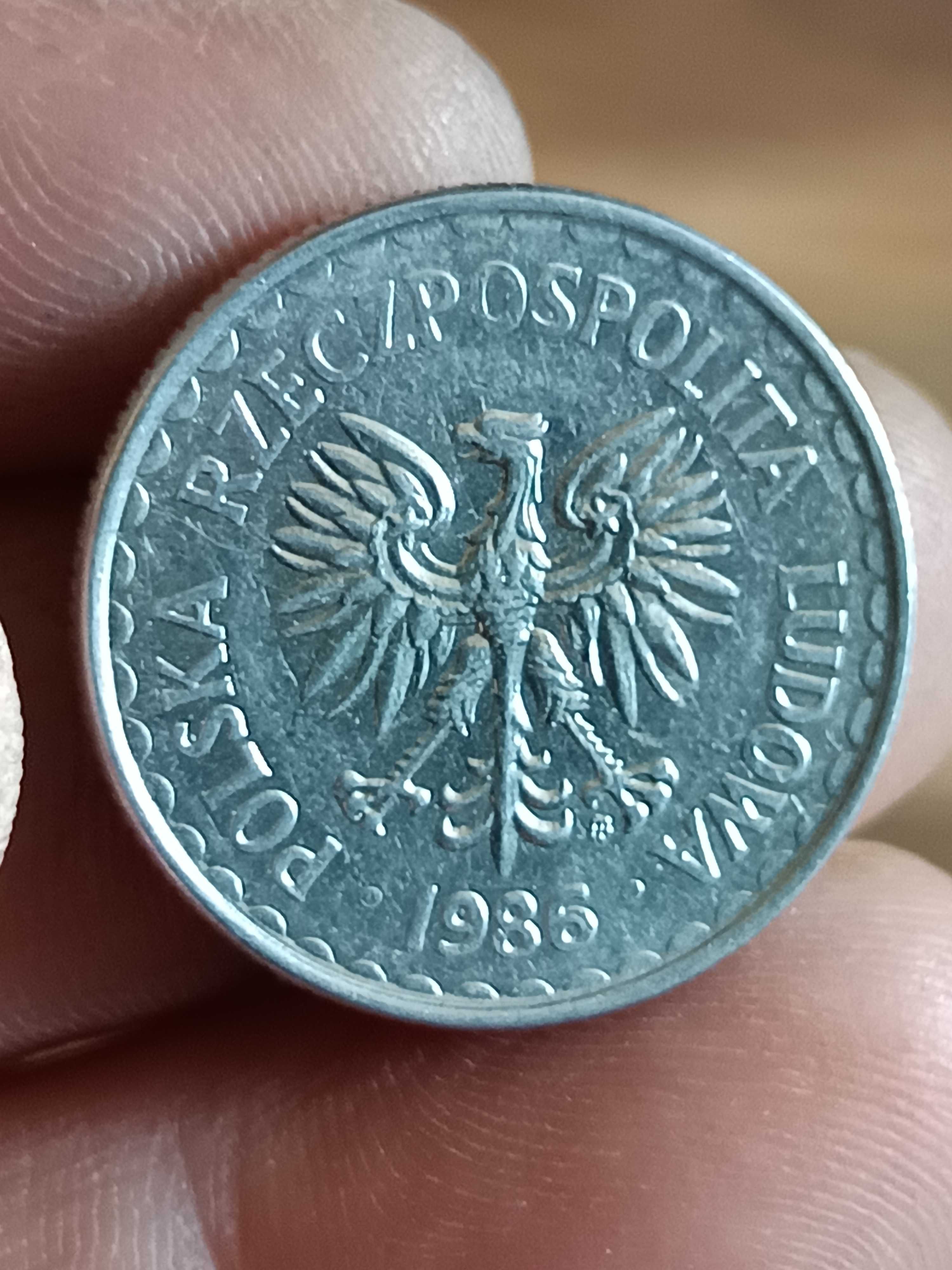 Sprzedam monetę 1 zloty 1986 r