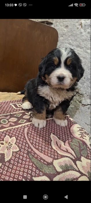 Манюння, хлопчик