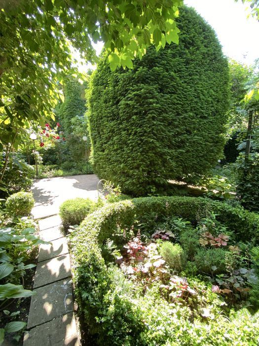 Сдам дом в Аркадии. Хрустальный переулок. Красивый участок, до мая.