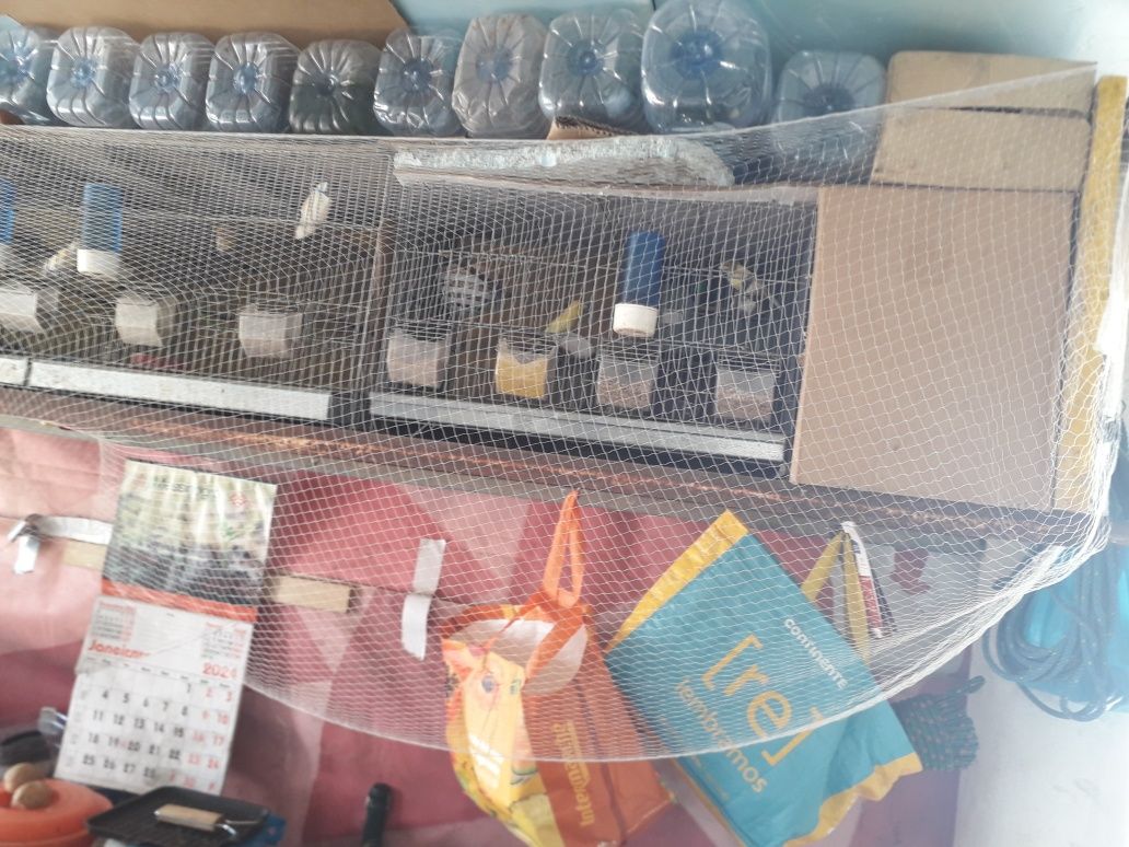 Rede pássaros E pesca
