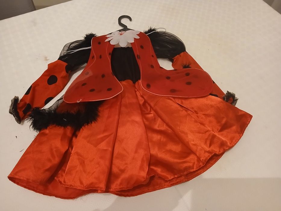 Fantasia Carnaval Joaninha