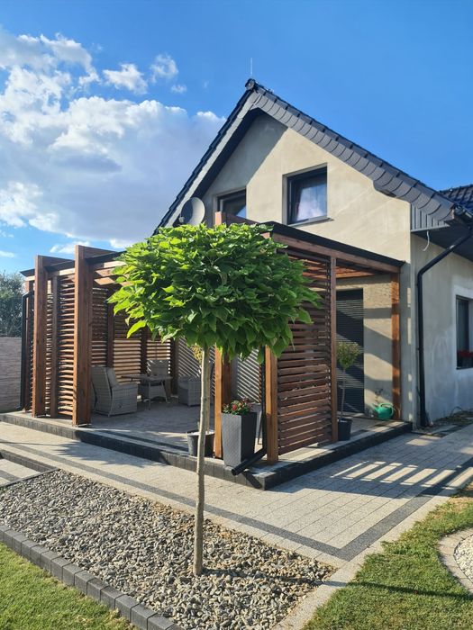 Pergola zadaszenie tarasu