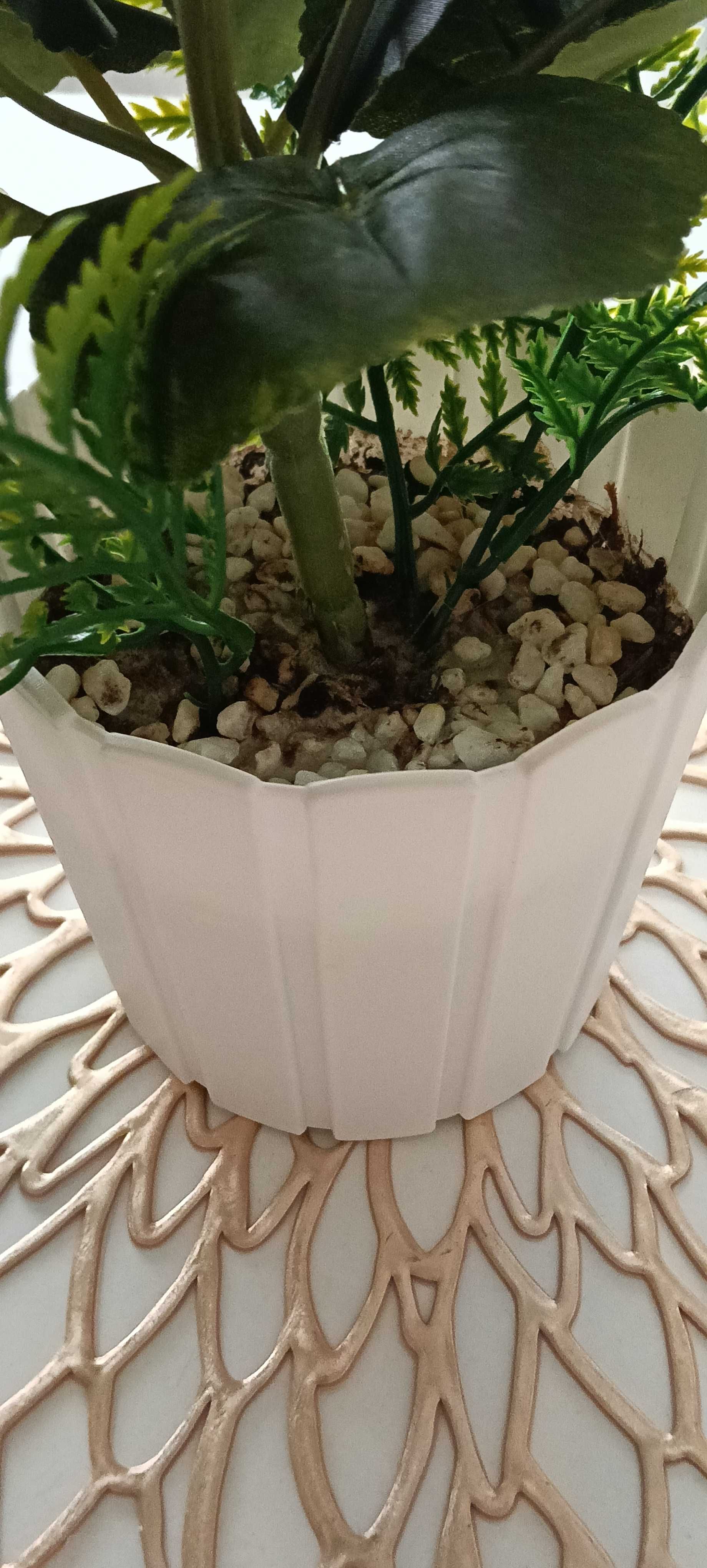 Trwała pelargonia z motylkiem,  w masywnej doniczce - jak żywa :)