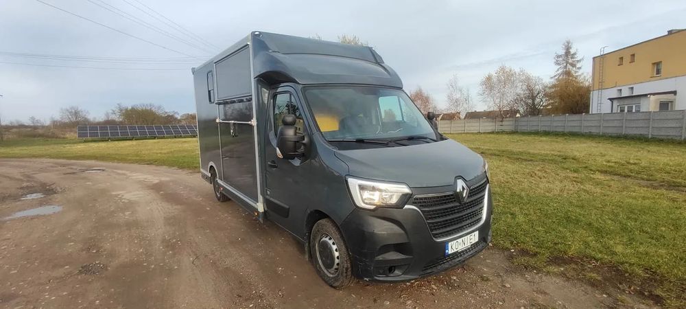 Renault Master  Koniowóz Renault Master nowa zabudowa