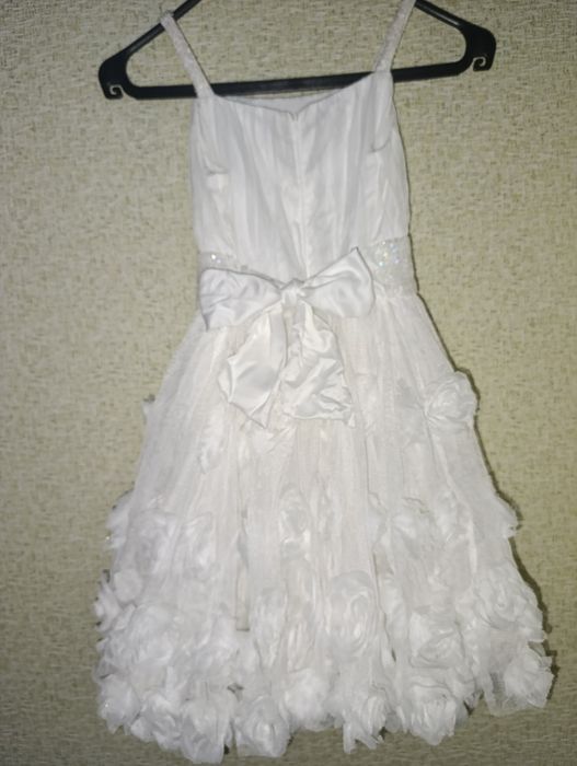 Білосніжна пишна сукня