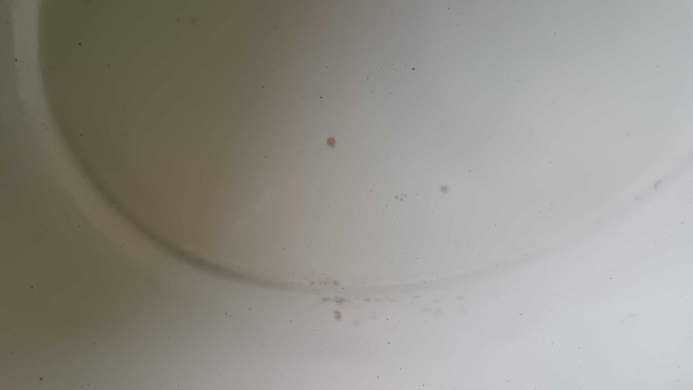 Wielka waza Włocławek; fajans, 3,5 litra