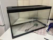 Aquario com 70 litros