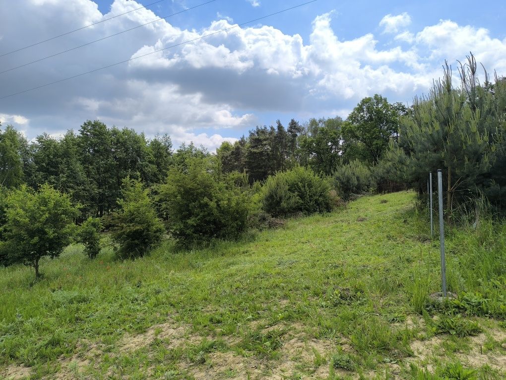 Malownicza działka nad jeziorem