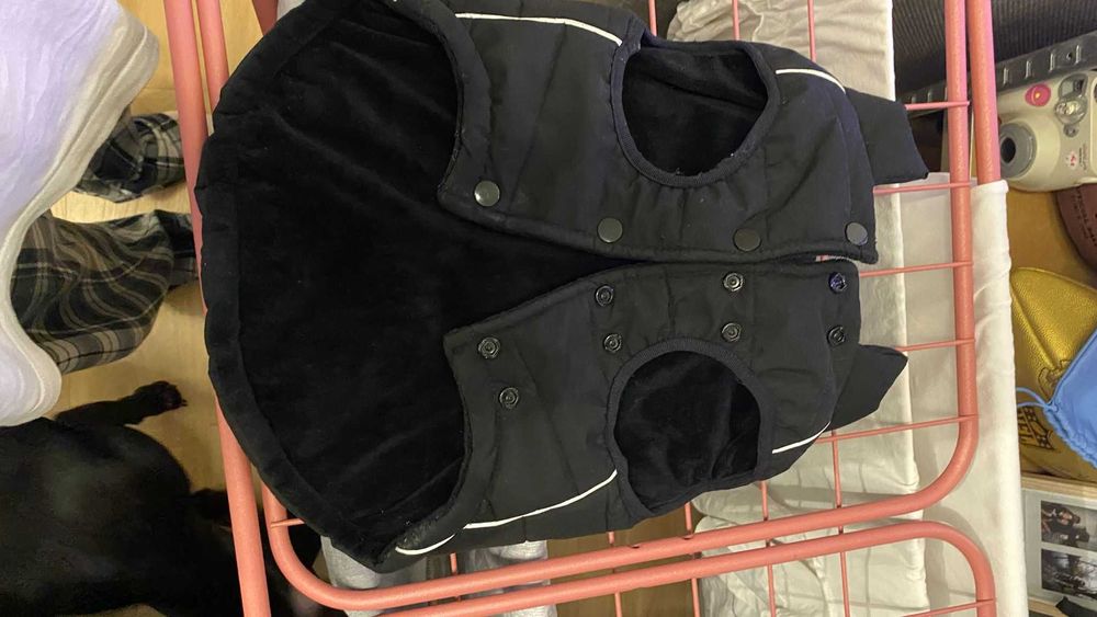 Kurtka dla psa (SPARKPAWS)