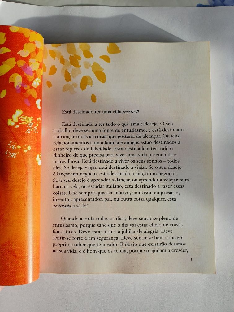 Livro - O Poder - 6€