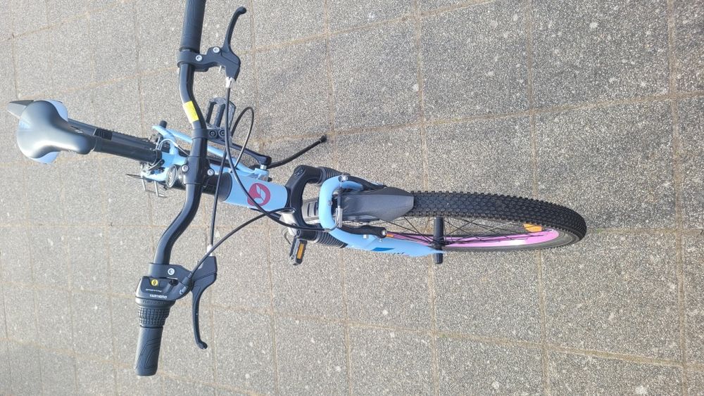 Rower Giant Liv enchant 24