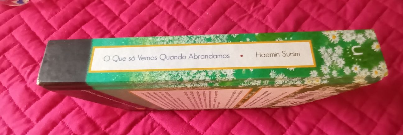 O Que Só Vemos Quando Abrandamos