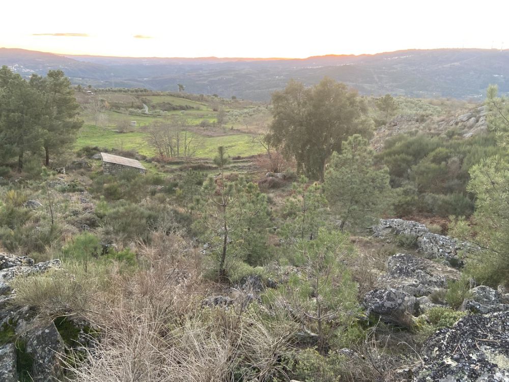 Terrenos rústicos para venda em Paredes da Beira, S. João da Pesqueira