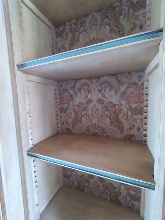 Стенка .Дерево берёза