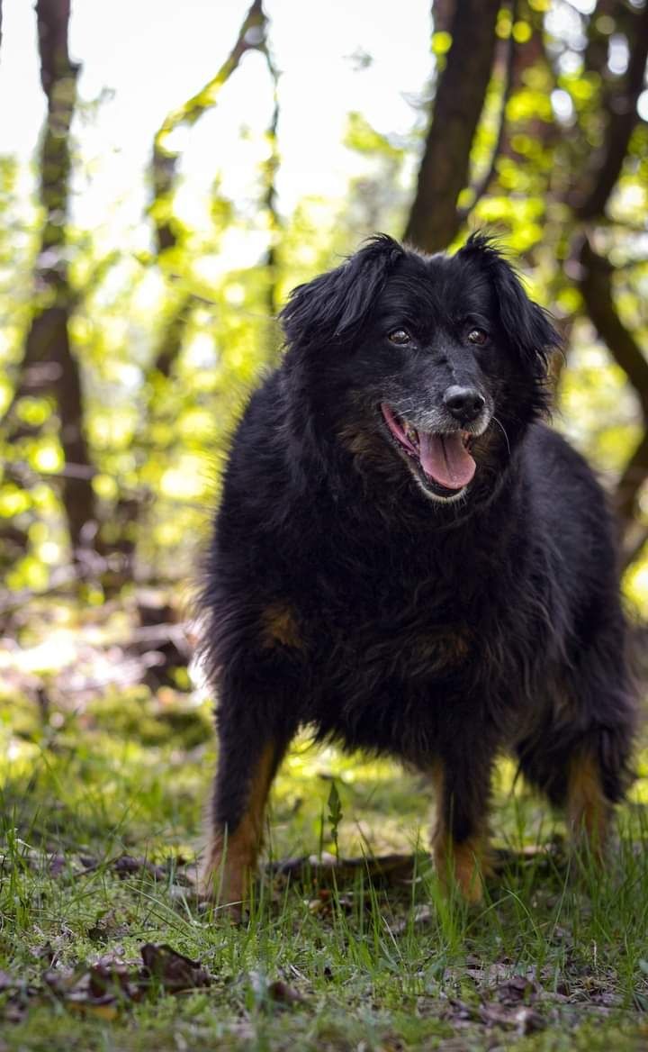 Nikt jej nie zauważył ani nie pokochał od 2012 roku...