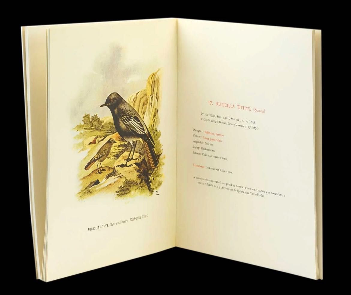 D. Carlos CATÁLOGO ILLUSTRADO DAS AVES DE PORTUGAL.