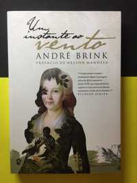 André Brink - Um instante ao vento