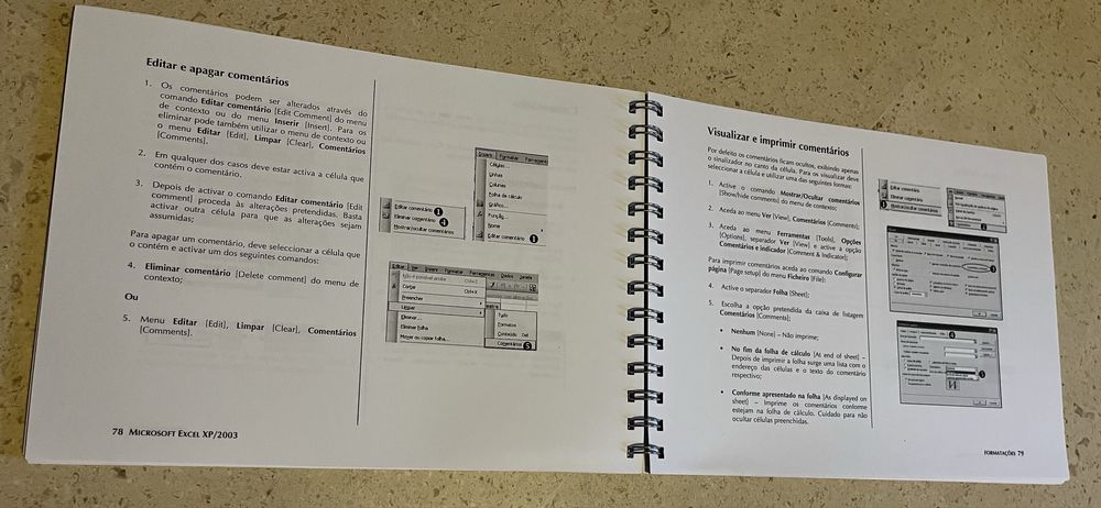 Manual de Microsoft Excel XP 2003 Fundamental