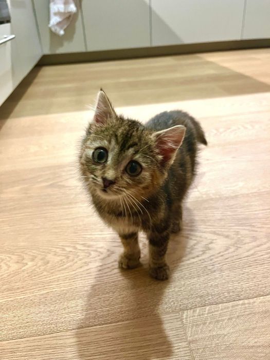 Franio i Jadzia około trzech miesięcy