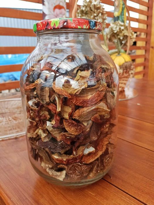 Suszone grzyby tegoroczne prawdziwki