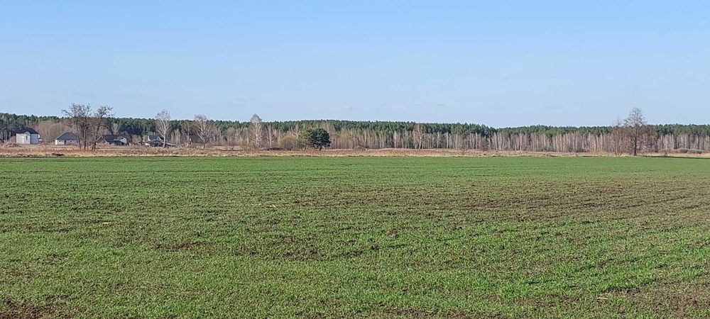 Біля лісу і річки.  Вороньківка, 3.4 га, ОСГ.