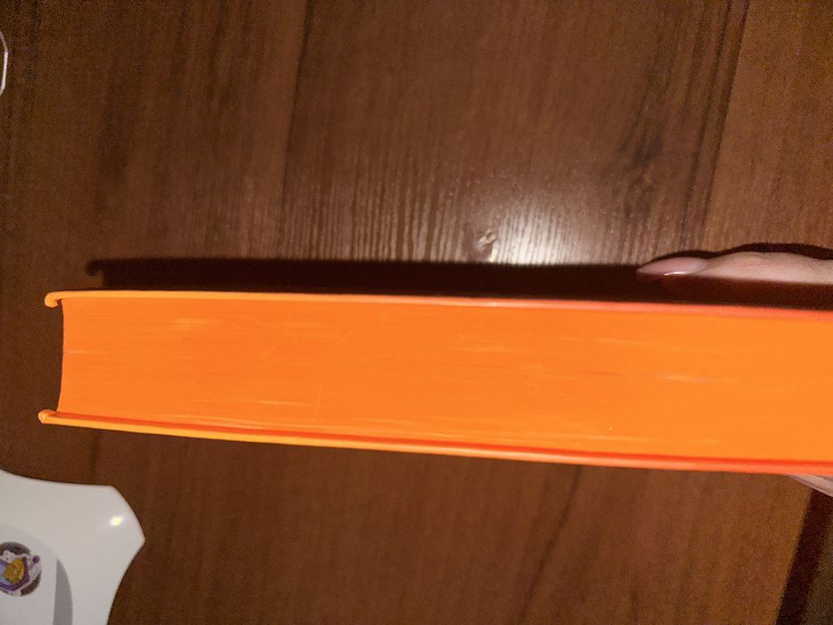 Книга Єдина вціліла Райлі Сейґер