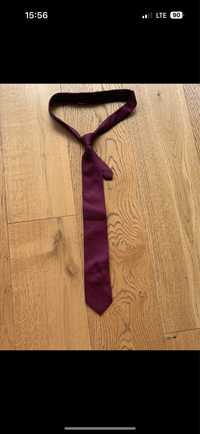 Krawat marki Collection Adam