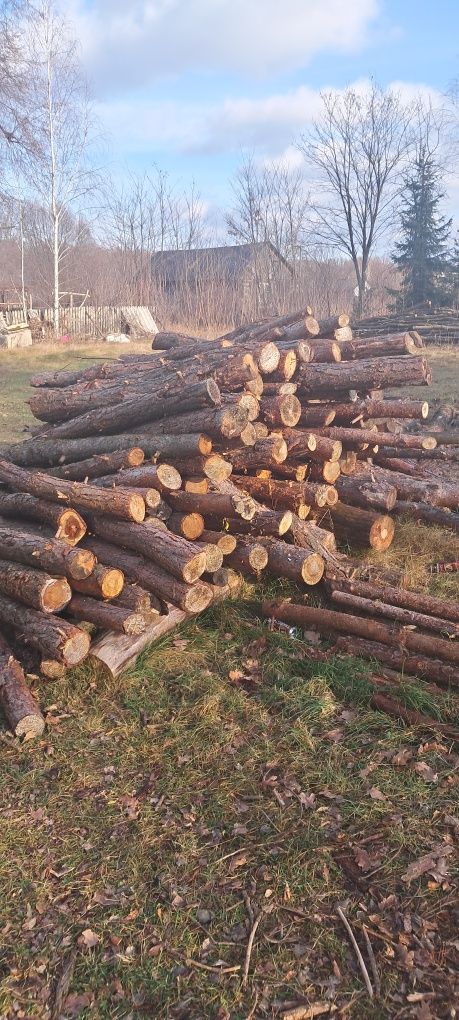 Drzewo opalowe Białobrzegi Stromiec Głowaczów  Warka Grójec z transpor
