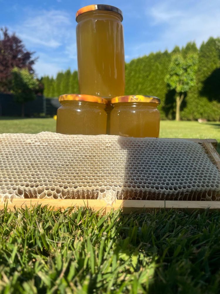 Miód pszczeli ze własnej pasieki