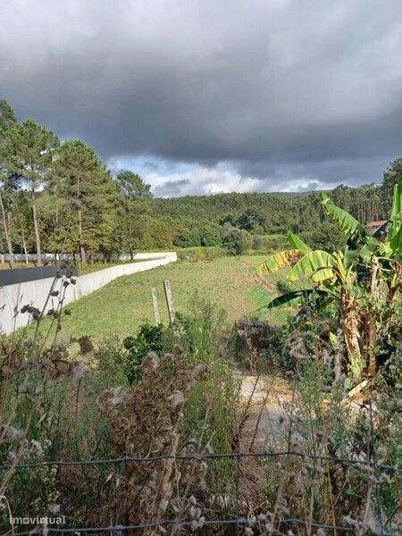 Terreno para venda em Fajões, Oliveira de Azeméis.