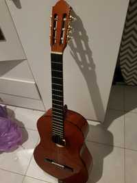 Guitarra acústica Ashton + saco