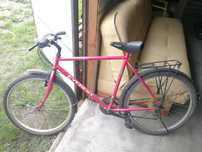 Rower Husky 100 dobry