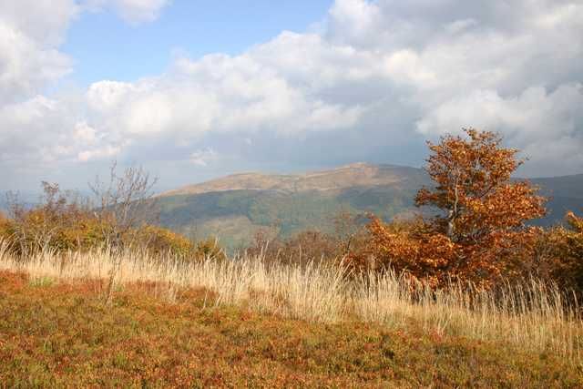 Dom do wynajęcia Bieszczady, apartamenty
